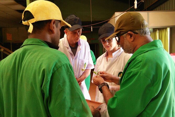 Nandana Tea Walking Tour in Sri Lanka - The people make the visit personal