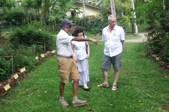 Nandana Tea Walking Tour in Sri Lanka - Who gets the best value for $78