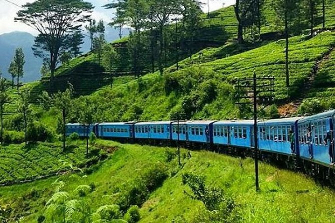 Nanu Oya to Ella train ride on (Train No: 1005 "Podi Menike") - Key points about the Nanu Oya to Ella ride