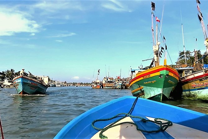 Negombo City Tour - Start with Negombo’s fish market by the beach