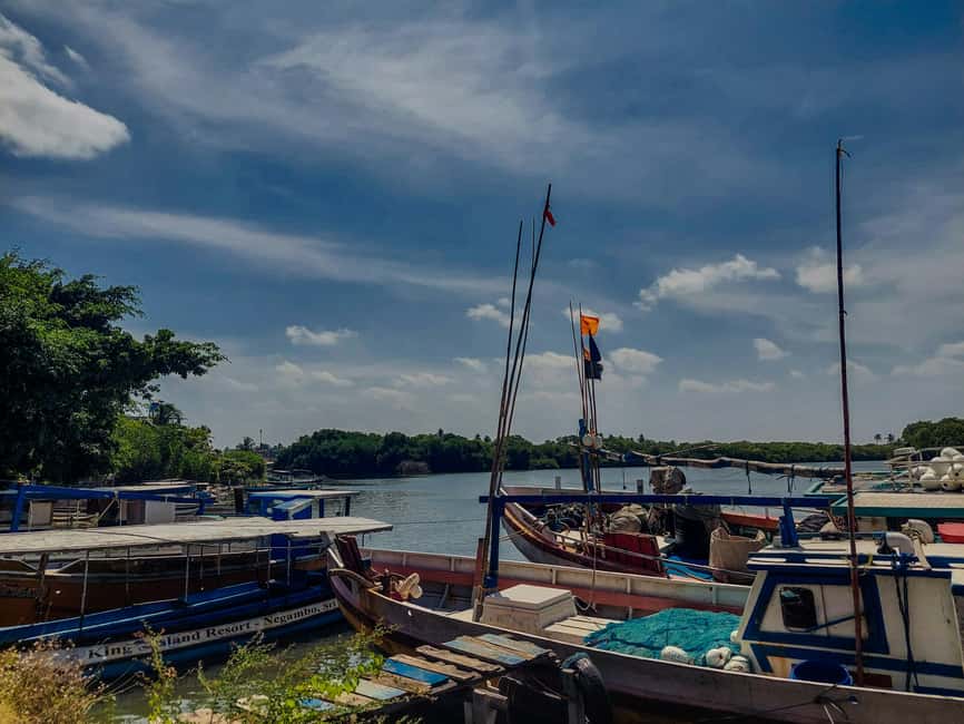 Negombo & Colombo: Full-Day Tour with Lunch - What the $57 price really covers