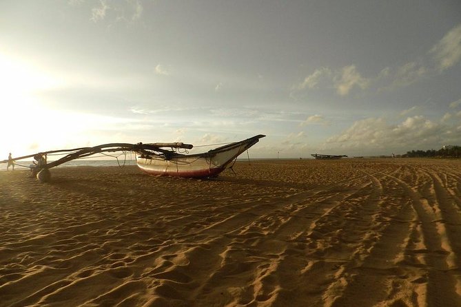 Negombo Day Tour - Seeing Negombo’s fish market up close