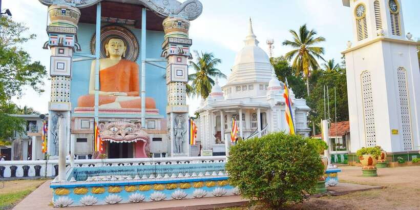 Negombo: Fishing Village Highlights Private Tour by Tuk Tuk - The fish market puts daily life first