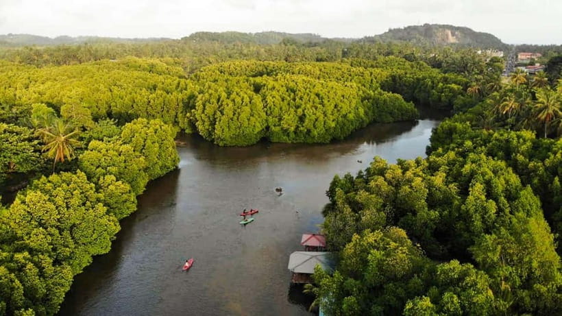 Negombo: Guided Kayaking Tour in the Lagoon - The first 15 minutes: getting comfortable on the water