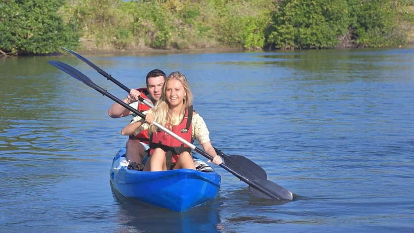 Negombo: Guided Kayaking Tour in the Lagoon - Mangroves, monkeys, and birdlife