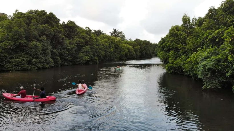 Negombo: Guided Kayaking Tour in the Lagoon - Two hours through Negombo Lagoon