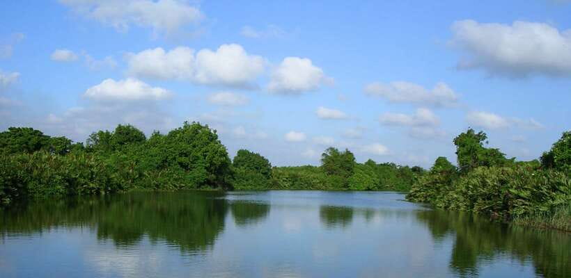 Negombo: Hamilton Canal to Colombo by Boat via Muthurajawela - What the private format changes