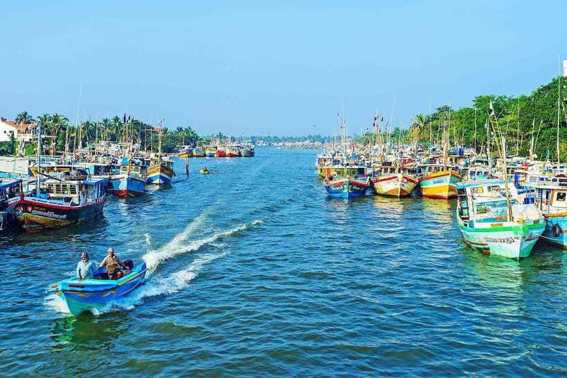 Negombo: Hamilton Canal to Colombo by Boat via Muthurajawela - Who will enjoy this Negombo boat ride?
