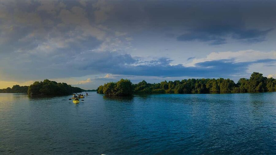 Negombo: Kayaking in the Lagoon - Who Will Enjoy This Paddle Most