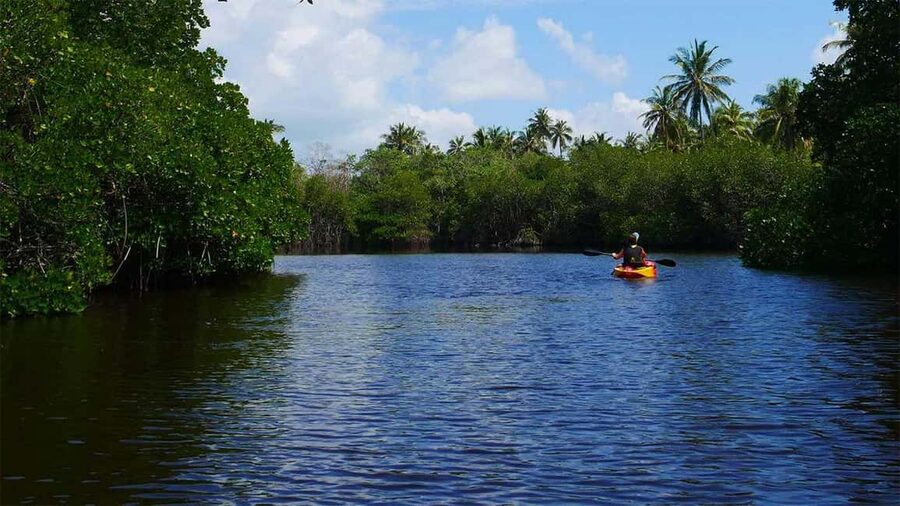 Negombo: Kayaking in the Lagoon - The First Paddle Through Calm Water