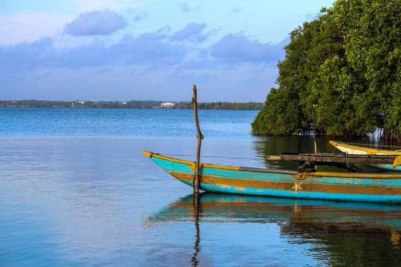Negombo Lagoon (Mangrove ) Boat Excursion - Who will enjoy this excursion most
