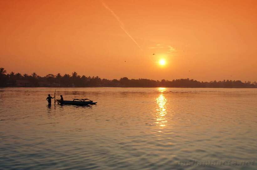 Negombo Lagoon (Mangrove ) Boat Excursion - Why Negombo Lagoon is worth seeing from a boat