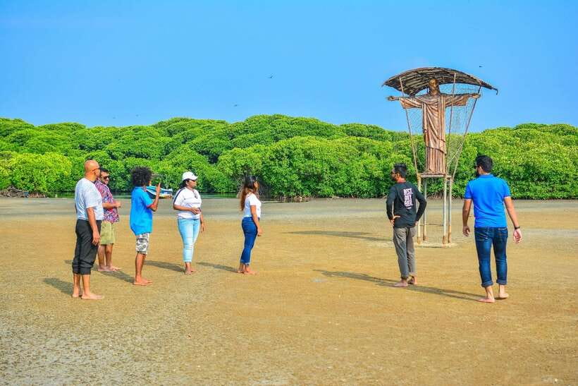 Negombo Lagoon (Mangrove ) Boat Excursion - Cruising through mangroves and lagoon waters