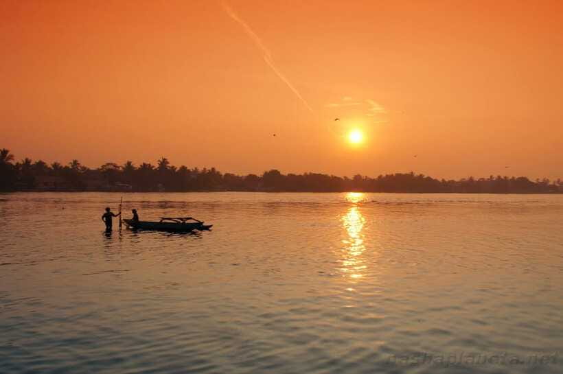 Negombo Lagoon (Mangrove ) Boat Excursion - Watching fishermen cast their nets