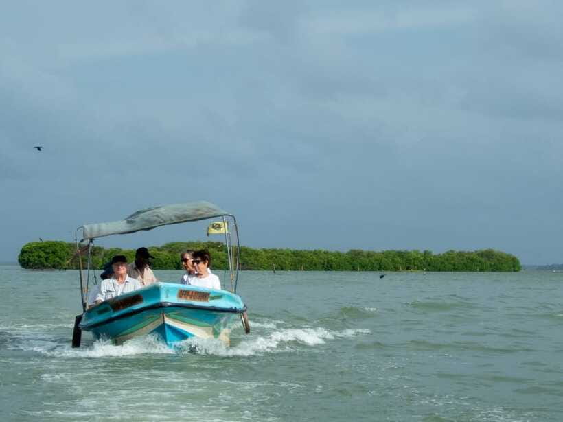 Negombo Lagoon (Mangrove ) Boat Excursion - Birds, waders, and the seasonal gull colony