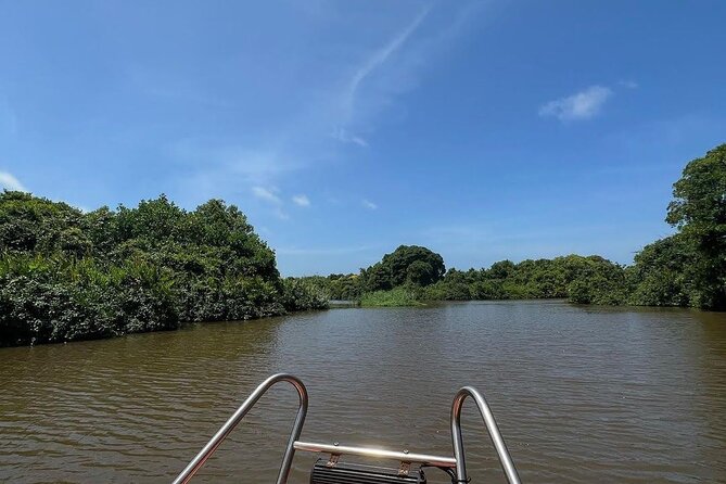 Negombo Lagoon & Muthurjawela Bird Watching Boat Tour - Why Negombo’s lagoon makes a good short outing