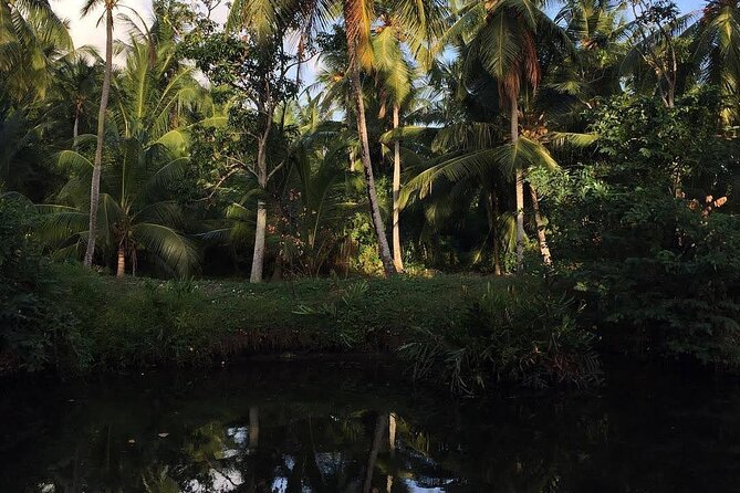 Negombo Lagoon & Muthurjawela Bird Watching Boat Tour - The first 30 minutes on Negombo Lagoon