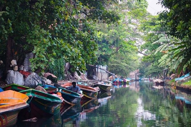 Negombo Lagoon & Muthurjawela Bird Watching Boat Tour - The timing matters more than the ticket price