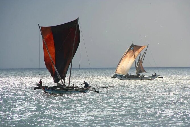 Negombo Lagoon & Muthurjawela Bird Watching Boat Tour - What the $45 price really buys