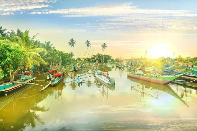 Negombo Lagoon & Muthurjawela Bird Watching Boat Tour - Booking details worth handling carefully