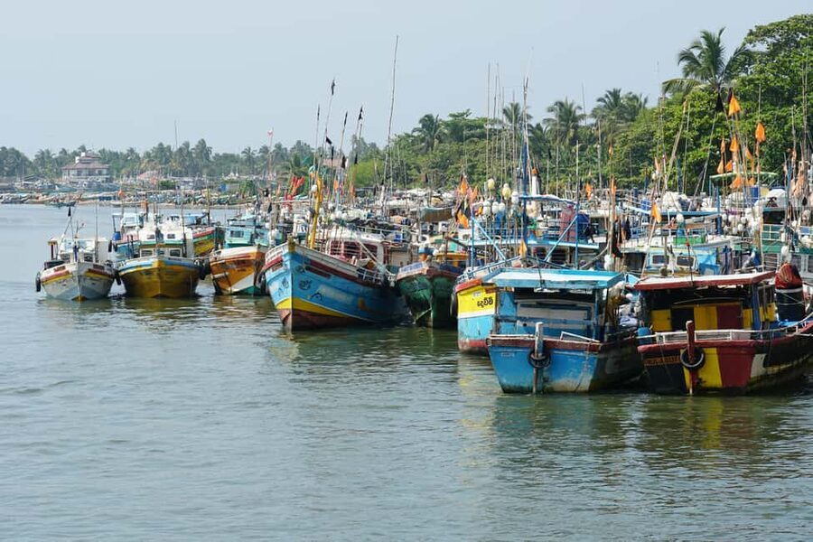 Negombo Private Tour: Market, Temples & Canal - Why Negombo works well for a short private tour