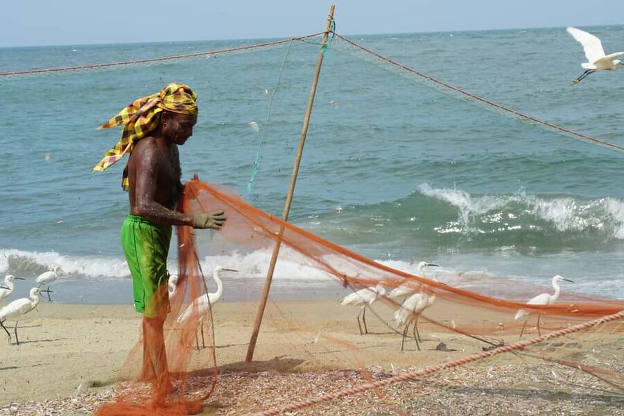 Negombo Private Tour: Market, Temples & Canal - Sri Singama Kali Amman Kovil and Hindu worship
