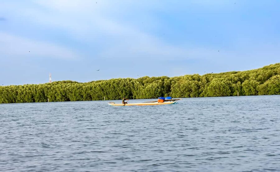 Negombo: Sunset lagoon boat tour with hotel transfers - Is $42 a fair price?