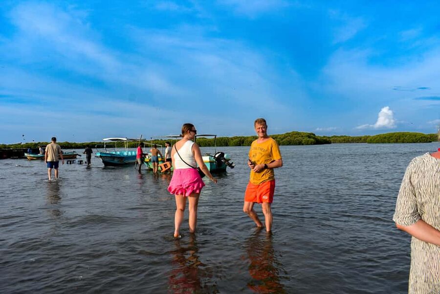 Negombo: Sunset lagoon boat tour with hotel transfers - Who will enjoy this Negombo lagoon trip?