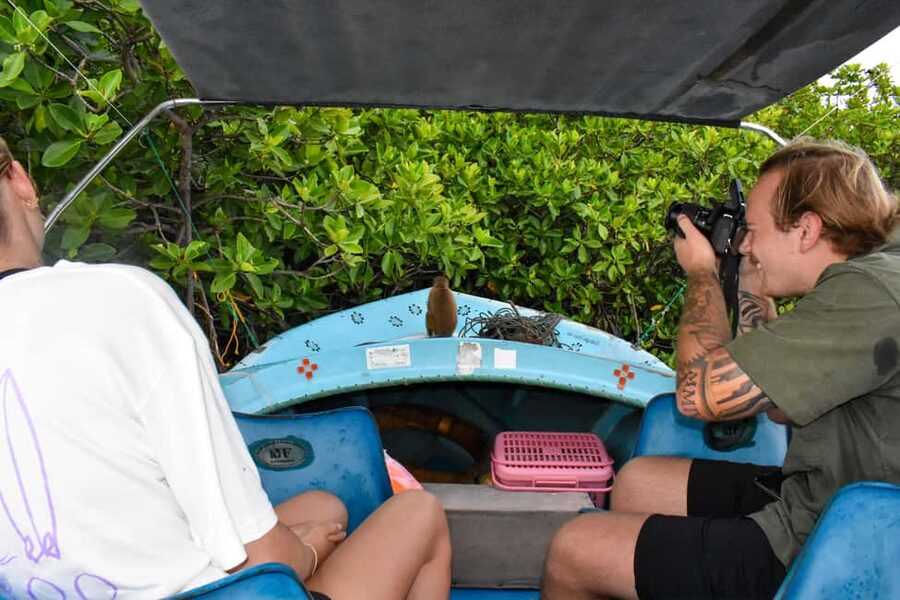 Negombo: Sunset lagoon boat tour with hotel transfers - Through the mangrove islands into Negombo Lagoon