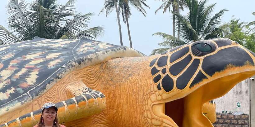 Negombo: Turtle hatchery, River safari, moon stone & Galle - Key points to know before booking