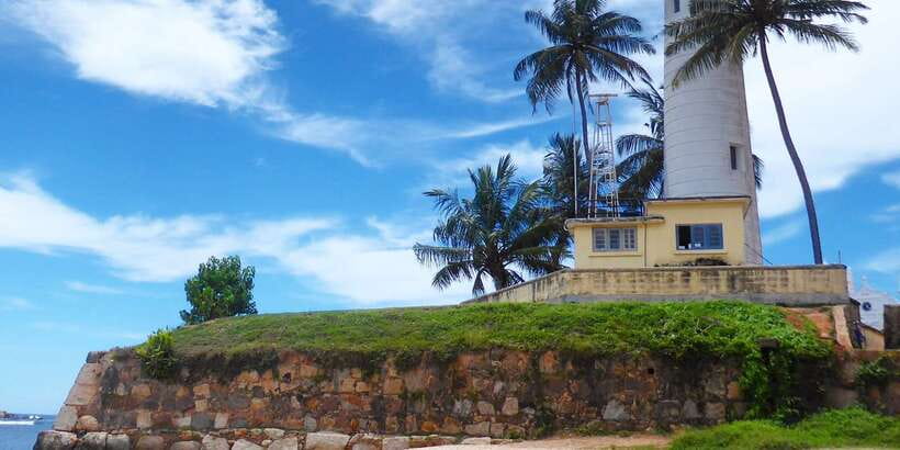 Negombo: Turtle hatchery, River safari, moon stone & Galle - Madu River safari: the strongest nature stop
