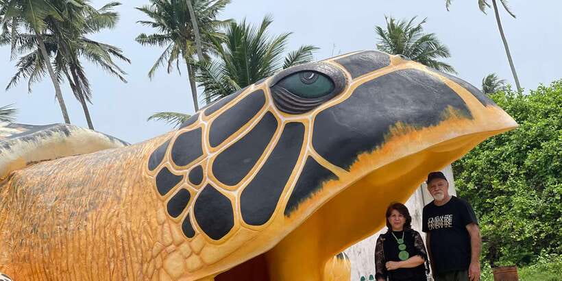 Negombo: Turtle hatchery, River safari, moon stone & Galle - Moonstone mine and Tsunami Museum: confirm these stops first