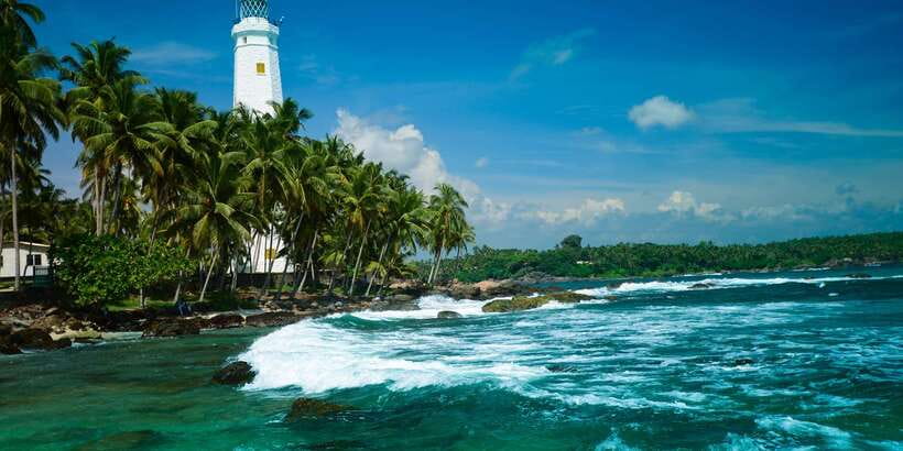 Negombo: Turtle hatchery, River safari, moon stone & Galle - Bentota Beach: a quick look at the coast