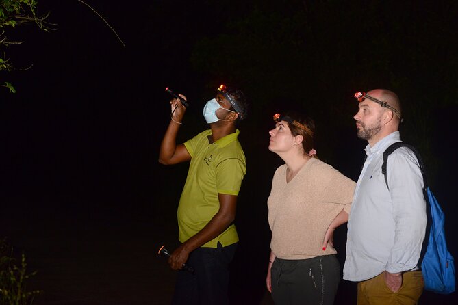 Night Hike to see Elusive & Rare Loris in Sigiriya - Starting at Rocko’s Vegetarian Cafe