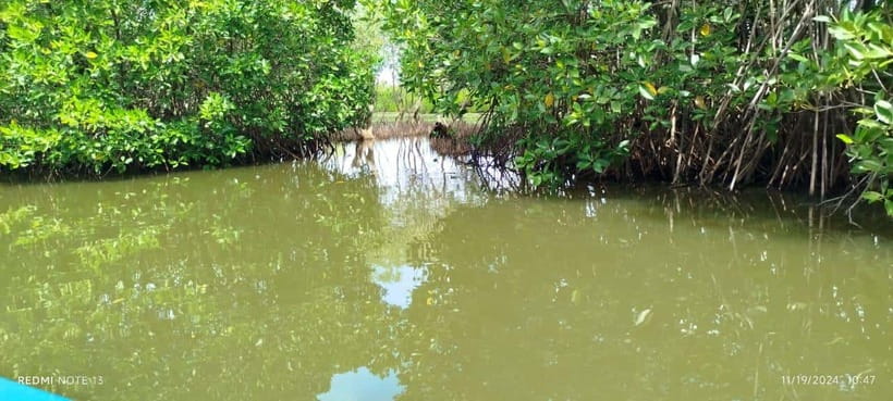 Nilaveli: Lagoon Boat Safari with Mangrove Exploration - A quiet side of Nilaveli at Irrakkandi Lagoon