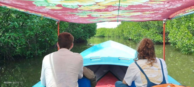 Nilaveli: Lagoon Boat Safari with Mangrove Exploration - Mangroves, birds, and the real wildlife question
