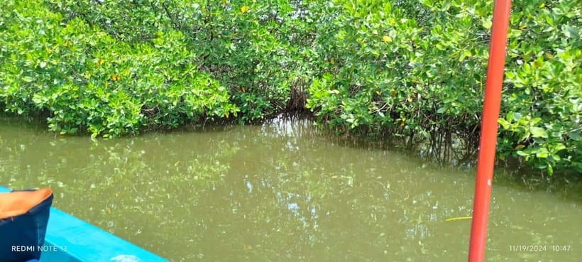 Nilaveli: Lagoon Boat Safari with Mangrove Exploration - Seeing local fishing life from the water