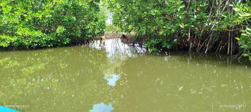 Nilaveli: Lagoon Boat Safari with Mangrove Exploration - What is included, and what you still need to plan
