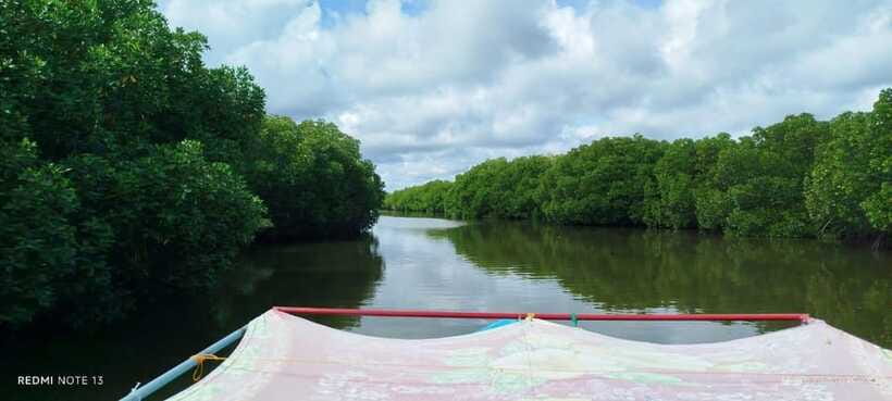 Nilaveli: Lagoon Boat Safari with Mangrove Exploration - Comfort, safety, and who should skip it