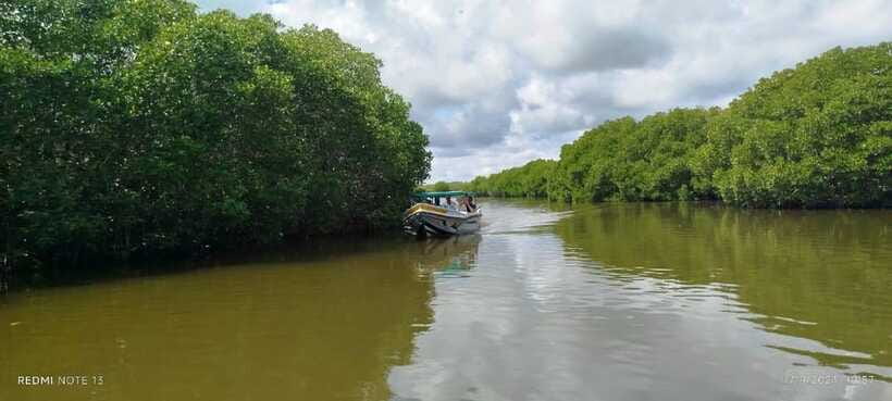 Nilaveli: Lagoon Boat Safari with Mangrove Exploration - How the experience compares with a beach day