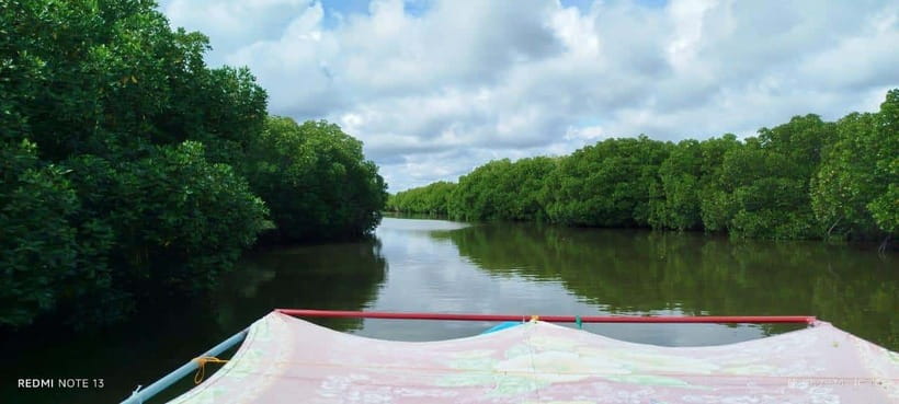 Nilaveli: Lagoon Boat Safari with Mangrove Exploration - What the two-hour route actually includes