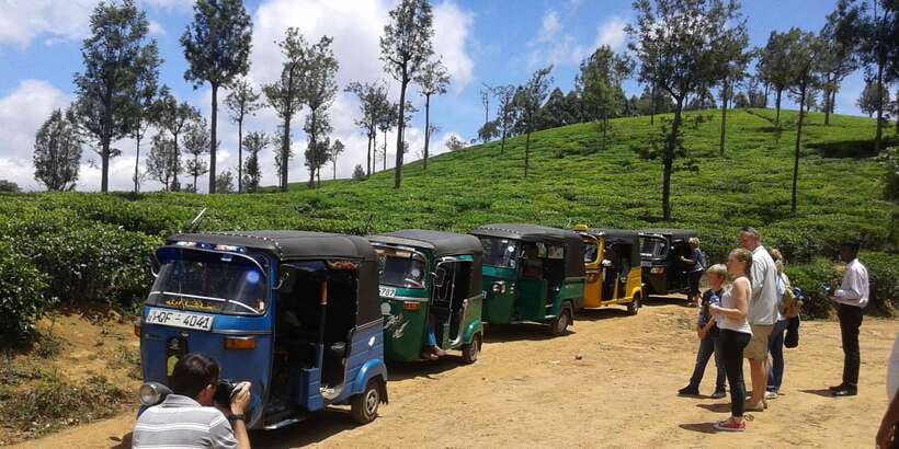 Nuwara Eliya: All-Inclusive Ella Sightseeing Private Tour - What the $80 price really covers
