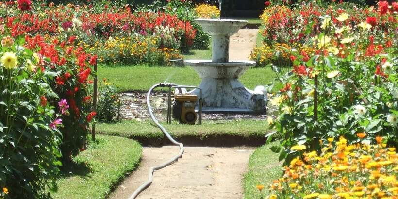 Nuwara Eliya: All-Inclusive Private Sightseeing Day Tour - Why this Nuwara Eliya day works well