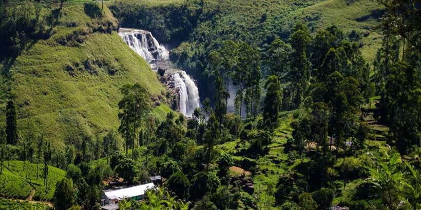 Nuwara Eliya: All-Inclusive Private Sightseeing Day Tour - Is $50 per person good value?