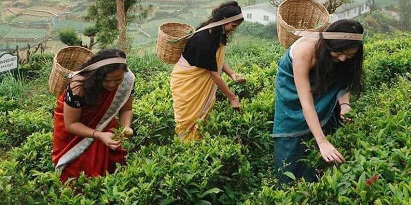 Nuwara Eliya Day Tour from Kandy (Private Tour) - Transport, timing, and comfort on a long hill-country day