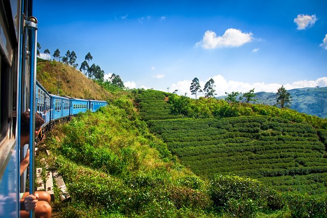 Nuwara Eliya from Kandy by Train - Victoria Park and the old post office