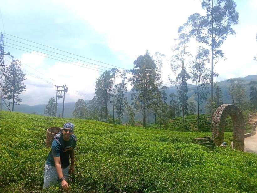 Nuwara Eliya Full day: 5Waterfalls, 2Tea Test & pick by TUK - Price, inclusions, and the real value