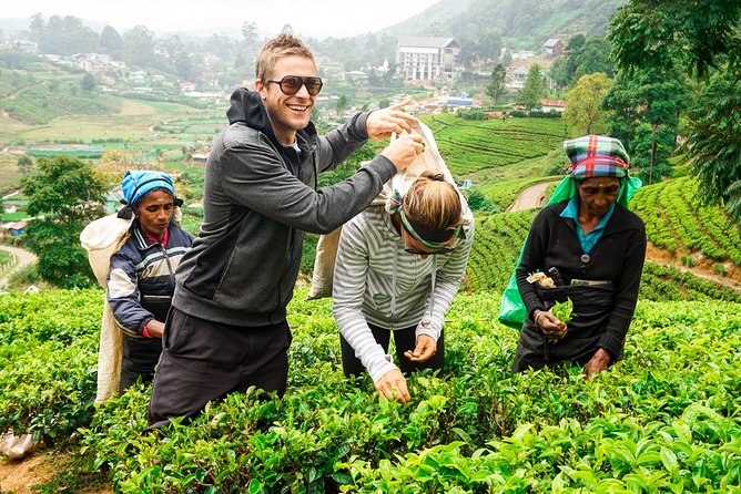 Nuwara Eliya Highlands from Kandy - From Kandy into the cool Central Highlands