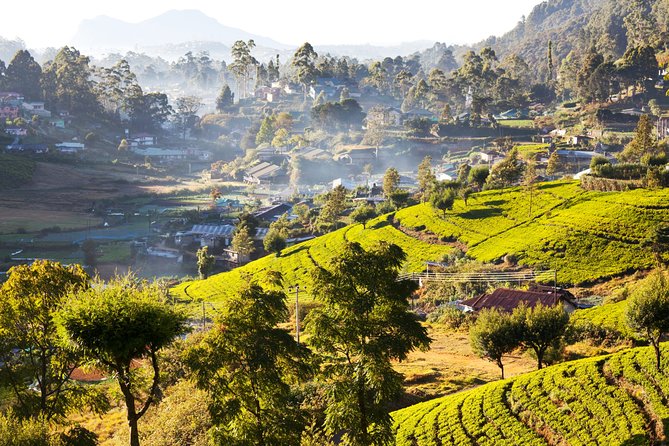 Nuwara Eliya Highlands from Kandy - What the $85 price really covers