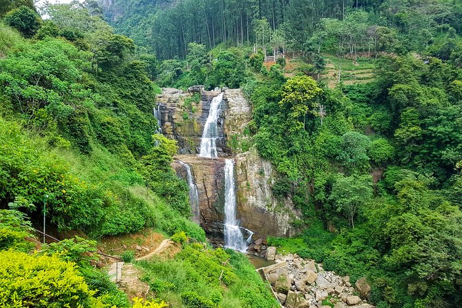 Nuwara Eliya Highlands from Kandy - Who will get the most from this tour